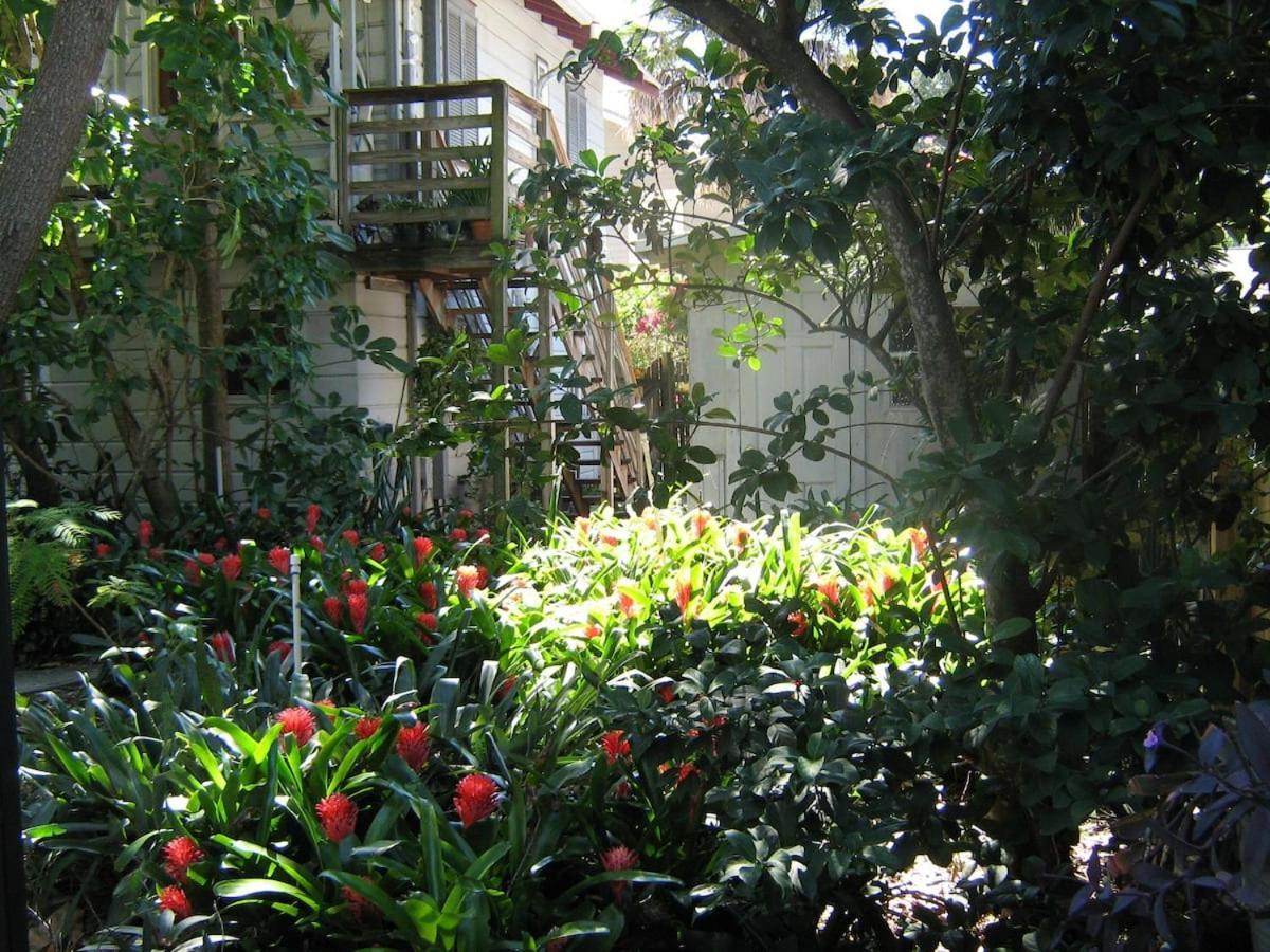 The Treehouse Apartment St. Petersburg Exterior photo